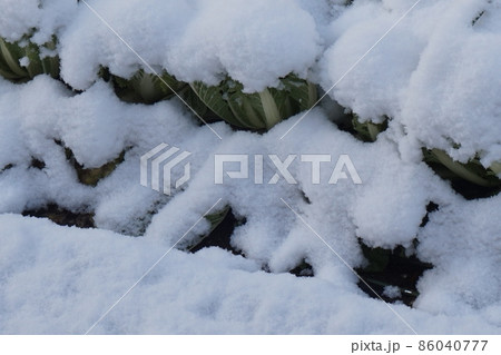雪が降り積む 86040777
