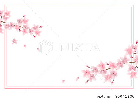 桜 春 花 背景 のイラスト素材
