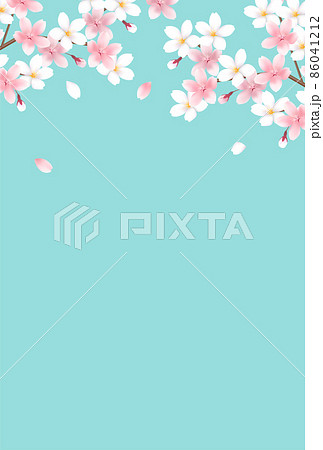 桜　春　花　背景  86041212
