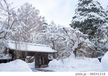 雪に覆われた角館武家屋敷 雪に覆われた角館武家屋敷 86041319