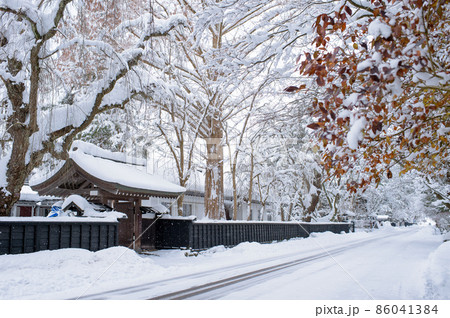 冬の武家屋敷通り 角館 冬の武家屋敷通り 角館 86041384