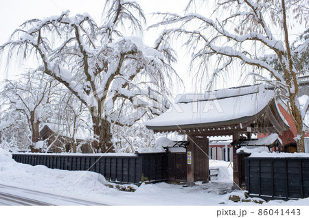 冬の武家屋敷 角館 冬の武家屋敷 角館 86041443