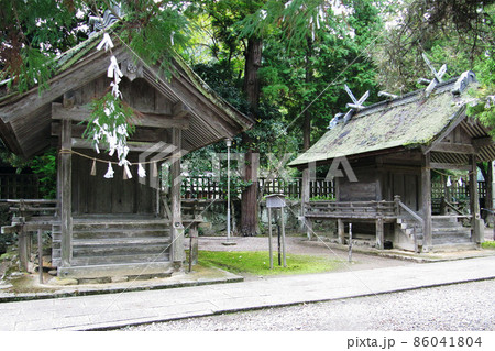 南北の氏社（うじのやしろ）と枝に結ばれた御神籤／【出雲大社】島根県出雲市 86041804