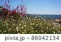 南仏の風景 86042134