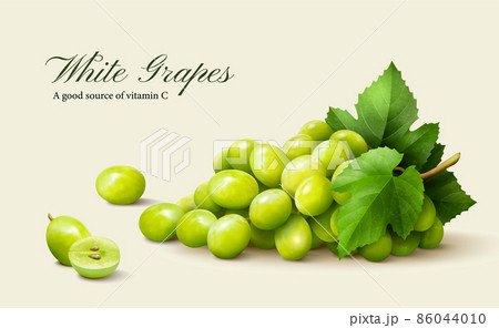 Fresh white grapes Fresh white grapes 86044010