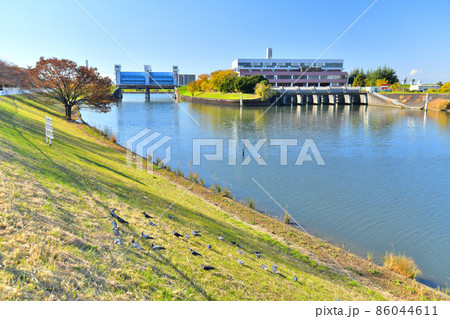 芝川水門、新芝川排水機場／新芝川周辺(埼玉県川口市)【2021.11】 86044611
