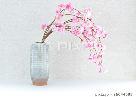 しだれ桜　 86044699