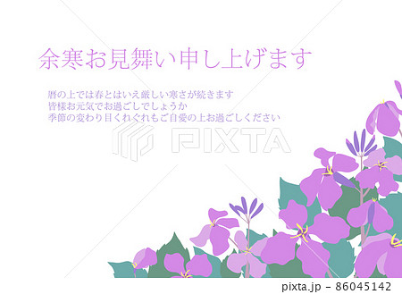 ムラサキハナナ（紫花菜）ショカツサイ（諸葛菜）花大根の花畑風景イラスト余寒見舞いはがき　横型 86045142