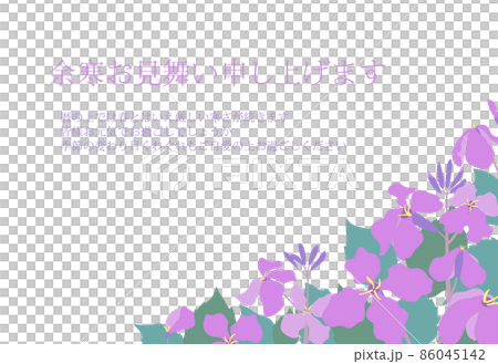 ムラサキハナナ（紫花菜）ショカツサイ（諸葛菜）花大根の花畑風景イラスト余寒見舞いはがき　横型 86045142