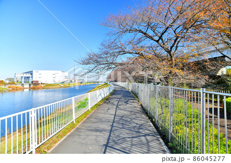 領家水門、山王橋／新芝川周辺を下流より望む(埼玉県川口市)【2021.11】 86045277