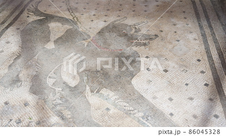 犬の床絵【イタリア・ポンペイ】 犬の床絵【イタリア・ポンペイ】 86045328