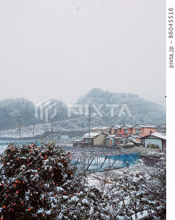 白い故郷 86045516