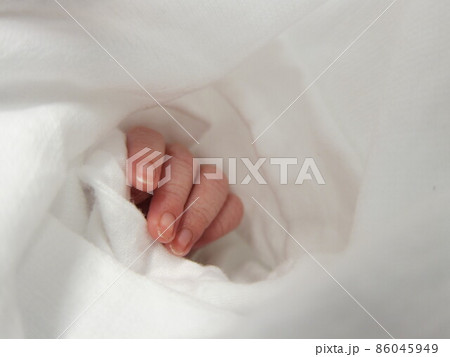生まれたての赤ちゃんの手 生まれたての赤ちゃんの手 86045949