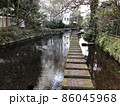 （静岡県三島市）源兵衛川の遊歩道 86045968