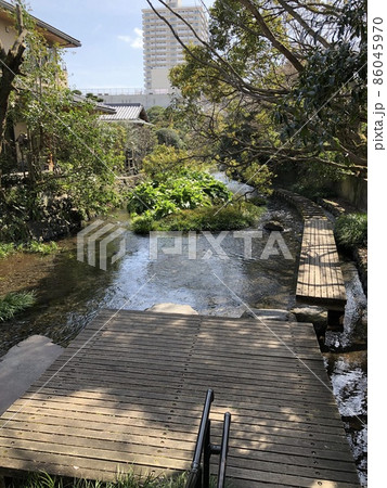 （静岡県三島市）源兵衛川の遊歩道 86045970
