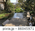 （静岡県三島市）源兵衛川の遊歩道 86045971