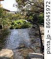 （静岡県三島市）源兵衛川の遊歩道 86045972