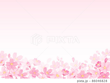 桜の花のイラストとピンクの背景 桜の花のイラストとピンクの背景 86046828