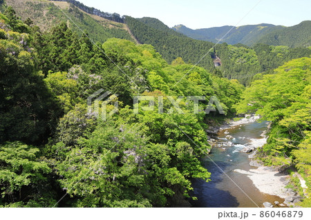 新緑の御岳渓谷 86046879