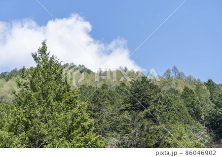 阿寺渓谷 阿寺渓谷 86046902