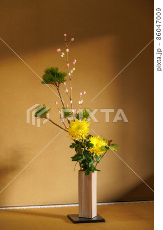和室の床の間の生花 86047009