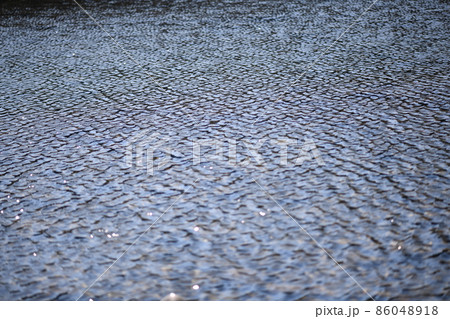 早春の新荘川のさざ波 86048918