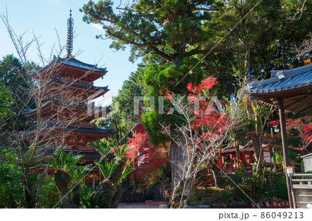京都　海住山寺（かいじゅうせんじ）の五重塔と紅葉 86049213
