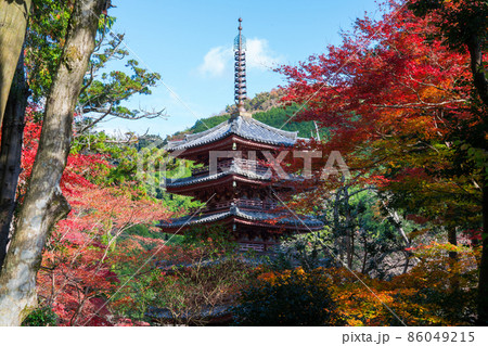 京都　海住山寺（かいじゅうせんじ）の五重塔と紅葉 86049215