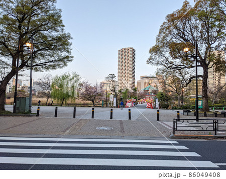東京 上野恩賜公園 桜(2021年4月) 東京 上野恩賜公園 桜(2021年4月) 86049408