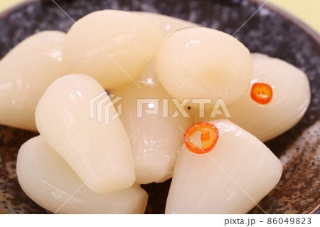 ラッキョウ 甘酢漬け 小皿 ピリ辛 ラッキョウ 甘酢漬け 小皿 ピリ辛 86049823