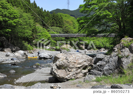 新緑の御岳渓谷 86050273