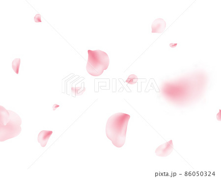 Sakura spring blossom on white banner. Flower petal flying background. Pink rose composition. Beauty Spa product frame. Valentine romantic card. Light delicate pastel design. Vector illustration 86050324