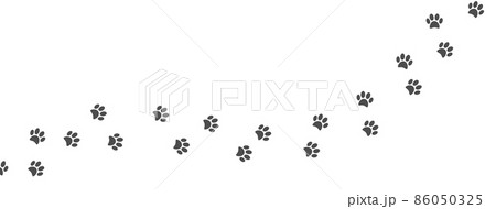 paw prints pet superstore