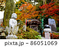【高尾山】薬王院・紅葉 86051069