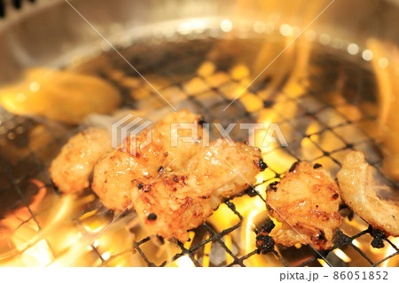 網で焼くテッチャン（ホルモン） 86051852