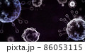 コロナ ウイルス 伝染病 86053115