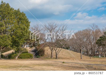 冬の公園 86053787