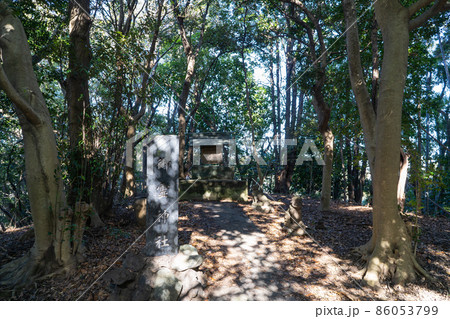 衣笠城址にある御霊神社（大楠山ハイキングコース） 86053799