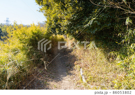 衣笠コース登山口（大楠山ハイキングコース） 86053802