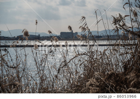 湖畔と波 86053966