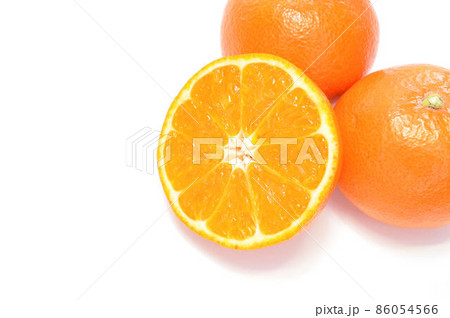 みはやみかん 86054566