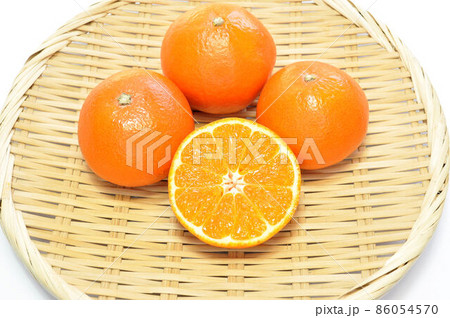 みはやみかん 86054570