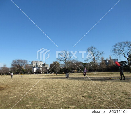 新春の木場公園 86055104