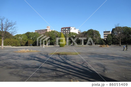 木場公園イベント広場付近 木場公園イベント広場付近 86055409