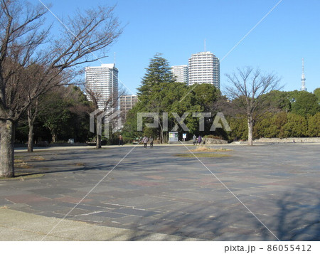 木場公園イベント広場付近 86055412