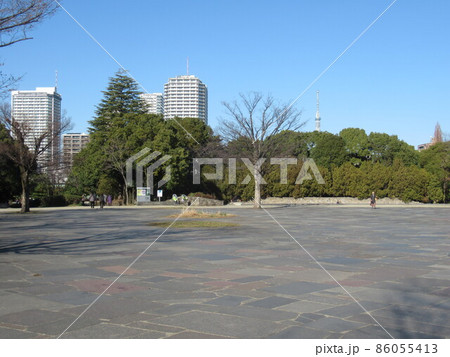 木場公園イベント広場付近 86055413