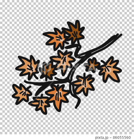 紅葉するもみじの枝葉のイラスト。 紅葉するもみじの枝葉のイラスト。 86055560