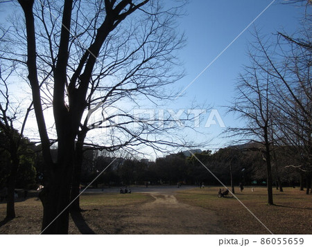 都立清住公園 都立清住公園 86055659