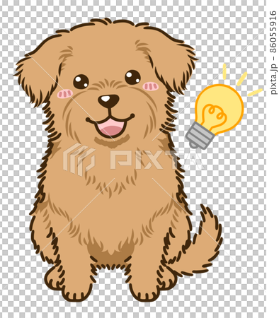 諾福克梗想出 86055916