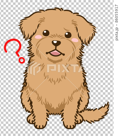 諾福克梗想知道 86055917